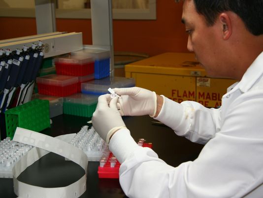 Andy Dang, a lab assistant at Genomic Health, labels cancer tissue sample transfer tubes for an RNA extraction process. The company's new genetic test to gauge the aggressiveness of prostate cancer may help men decide whether they need to treat their cancer right away or can safely monitor it. (Genomic Health/AP)