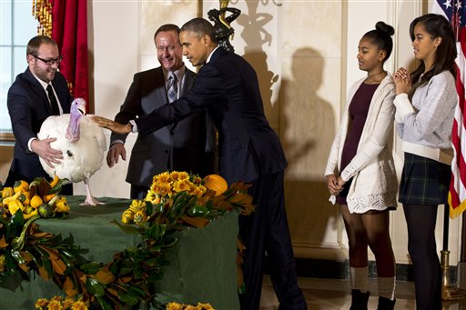 President Barack Obama, with daughters Sasha, second from right, and Malia, right, reaches out to touch "Cheese" after pardoning the turkey as part of the annual Thanksgiving tradition, Wednesday, Nov. 26, 2014, at the White House in Washington. With "Cheese" are Cole Cooper, left, and his father Gary Cooper, chairman of the National Turkey Federation. (AP Photo/Jacquelyn Martin)