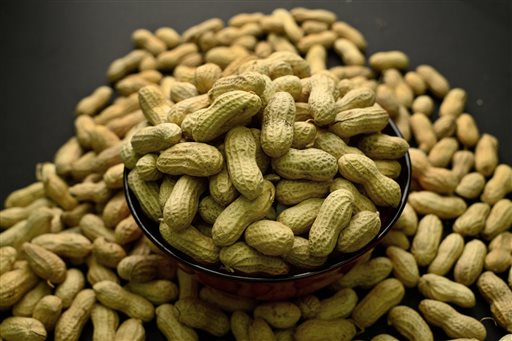 This Feb. 20, 2015 photo shows an arrangement of peanuts in New York. In a statement released online Monday, Aug. 25, 2015 in the journal Pediatrics, a pediatricians' group is recommending that infants at high risk of peanut allergies be fed foods containing peanuts before they turn 1. (AP Photo/Patrick Sison)