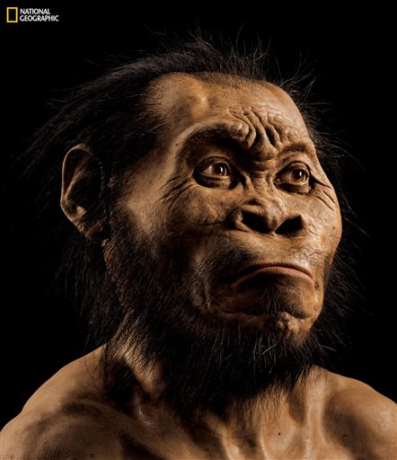This March 2015 photo provided by National Geographic from their October 2015 issue shows a reconstruction of Homo naledi's face by paleoartist John Gurche at his studio in Trumansburg, N.Y. In an announcement made Thursday, Sept. 10, 2015, scientists say fossils found deep in a South African cave revealed the new member of the human family tree. (Mark Thiessen/National Geographic via AP) IMAGE MUST INCLUDE NATIONAL GEOGRAPHIC LOGO; CROPPING NOT PERMITTED; MANDATORY CREDIT: "MARK THIESSEN/NATIONAL GEOGRAPHIC"