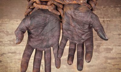 “The fact that slavery was underway for a century in South America before introduction in North America is not widely taught nor commonly understood...”
