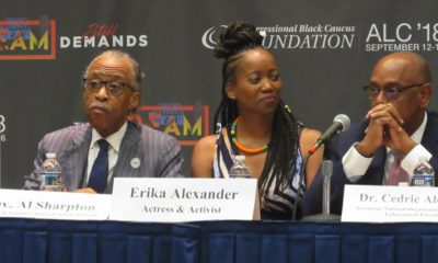 The Rev. Al Sharpton, actress and activist Erika Alexander and Dr. Cedric Alexander, national president of the National Organization of Black Law Enforcement Executives. (Photo by George Kevin Jordan)