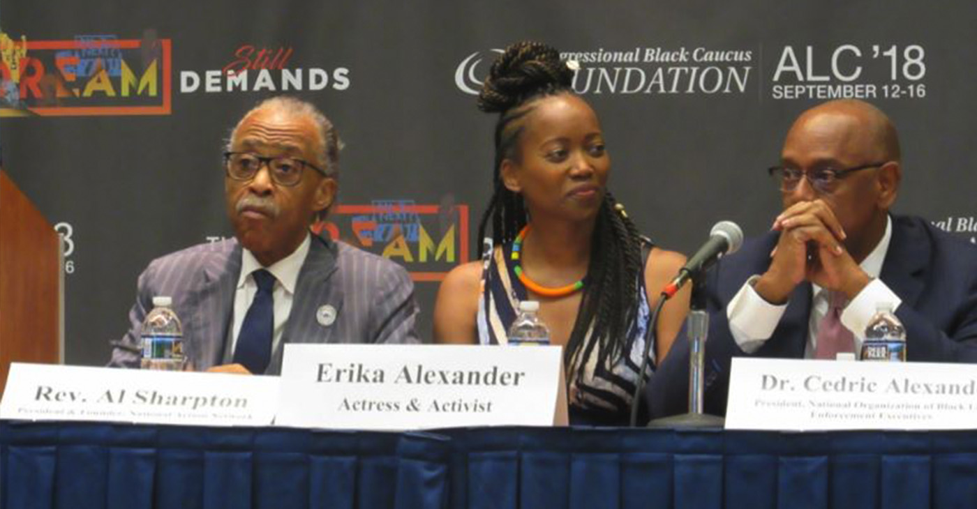 The Rev. Al Sharpton, actress and activist Erika Alexander and Dr. Cedric Alexander, national president of the National Organization of Black Law Enforcement Executives. (Photo by George Kevin Jordan)