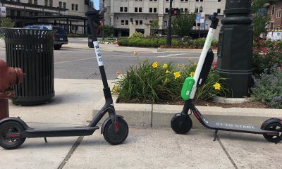 Bird and Lime scooters side by side.