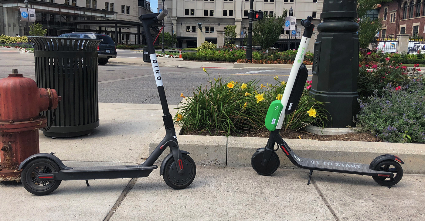 Bird and Lime scooters side by side.