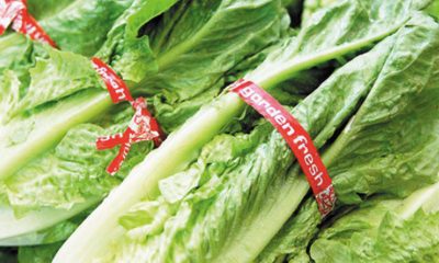 Americans have been warned not to eat Romaine Lettuce