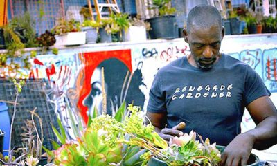 More Blacks are making gardening their major emphasis. (Courtesy photo