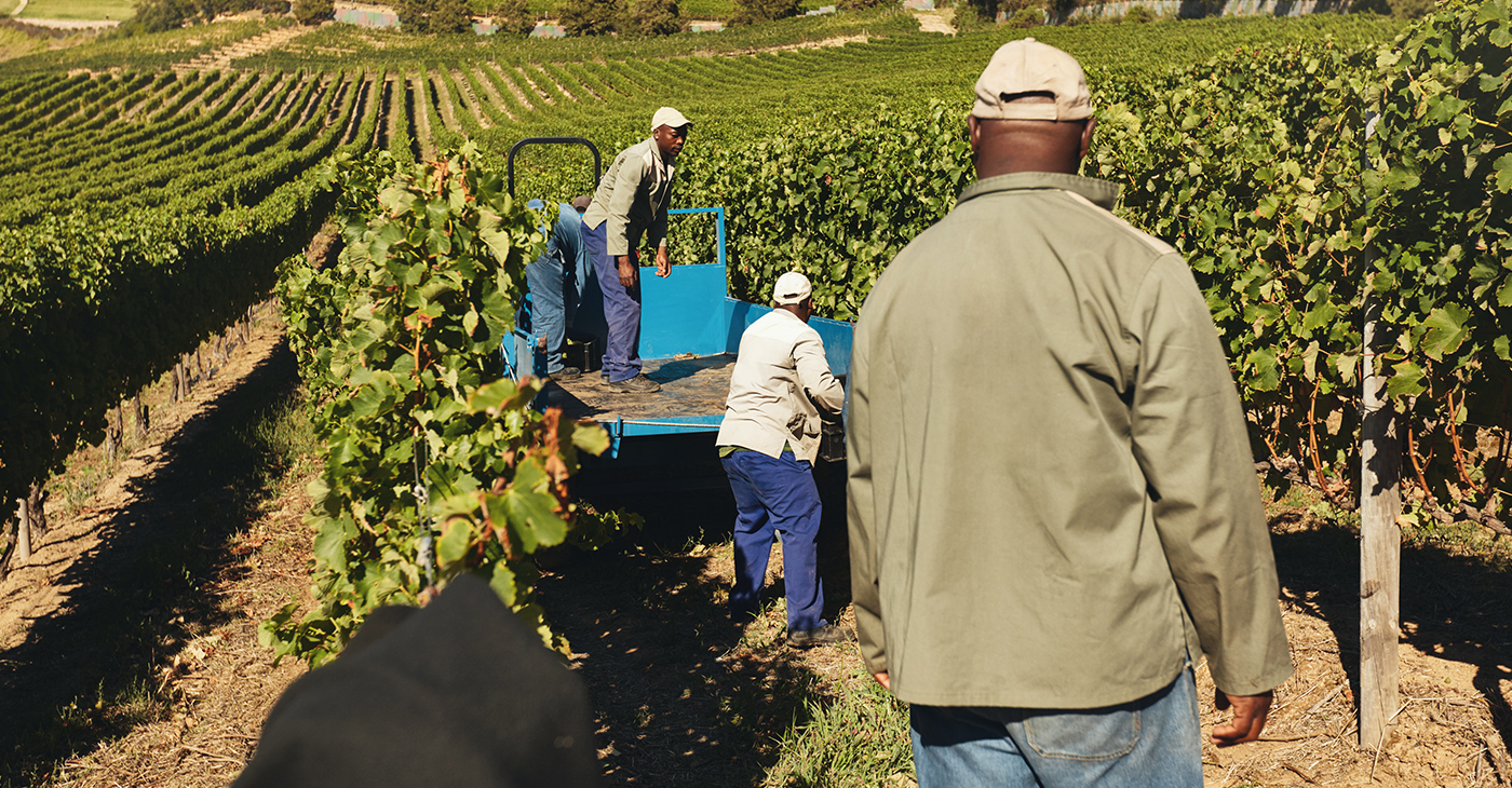 The BFAA’s fight for nearly a decade has been to have the money already set aside to pay the additional class-action claims be actually paid to farmers and their heirs. Some have passed away over the past decade, waiting for redress. (Photo: iStockphoto / NNPA)