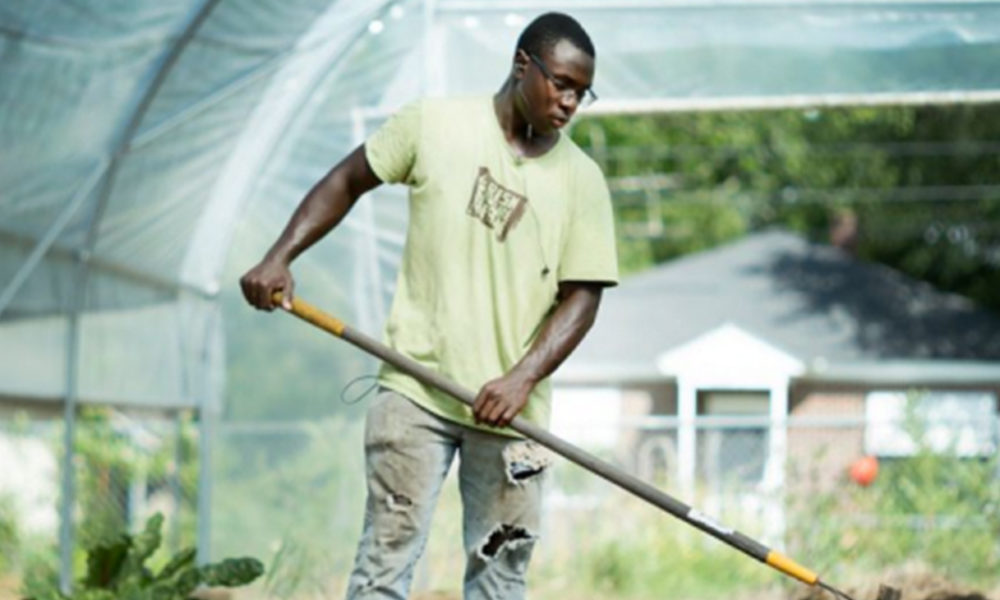 Farm Manager Adrian Mack Jr. building a raised bed (Bridget Besaw photographer)
