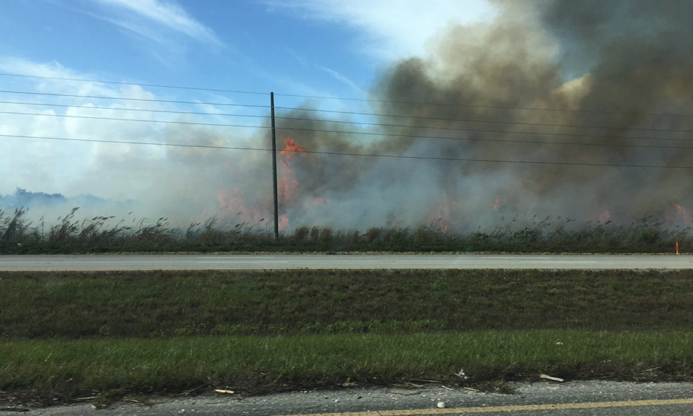 Because of the pre-harvest burning, the Glades communities have suffered economically as well. Whereas Palm Beach county and the state of Florida have seen an increase in real estate values, property values for the Glades community remain stagnant.
