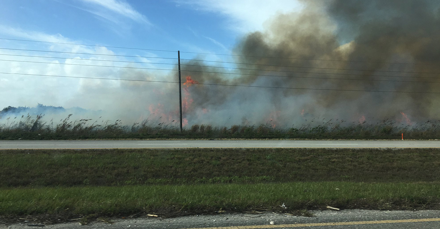 Because of the pre-harvest burning, the Glades communities have suffered economically as well. Whereas Palm Beach county and the state of Florida have seen an increase in real estate values, property values for the Glades community remain stagnant.