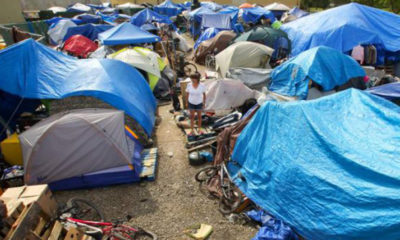 Homeless encampments have spread across the state. (Photo courtesy Santa Rosa Press Democrat.)
