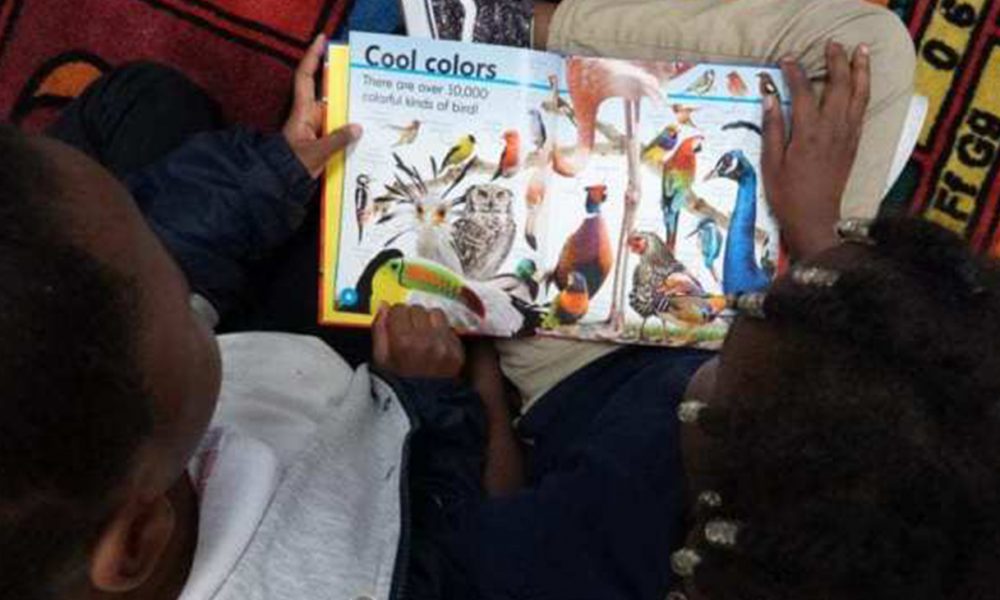 Student read a book during a reading circle at Gardenview Elementary School in Memphis, Tennessee. (Photo: Karen Pulfer Focht/Chalkbeat TÑ)