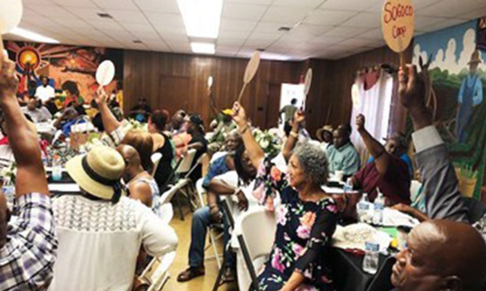 Co-op members voting with paddles, for each dues paying co-op, at FSC Annual Meeting.