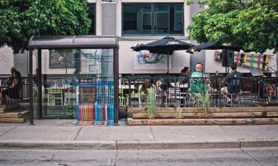 Photo by: Scott Webb | pexels.com