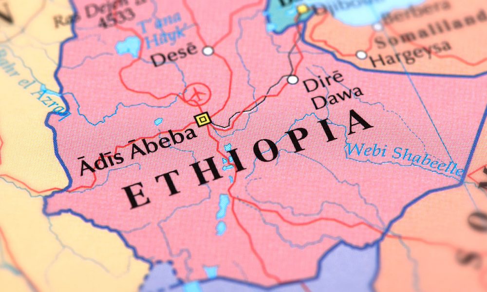We ask international partners, especially the African Union and regional partners, to work with us to address the crisis in Tigray, including through action at the UN and other relevant bodies.