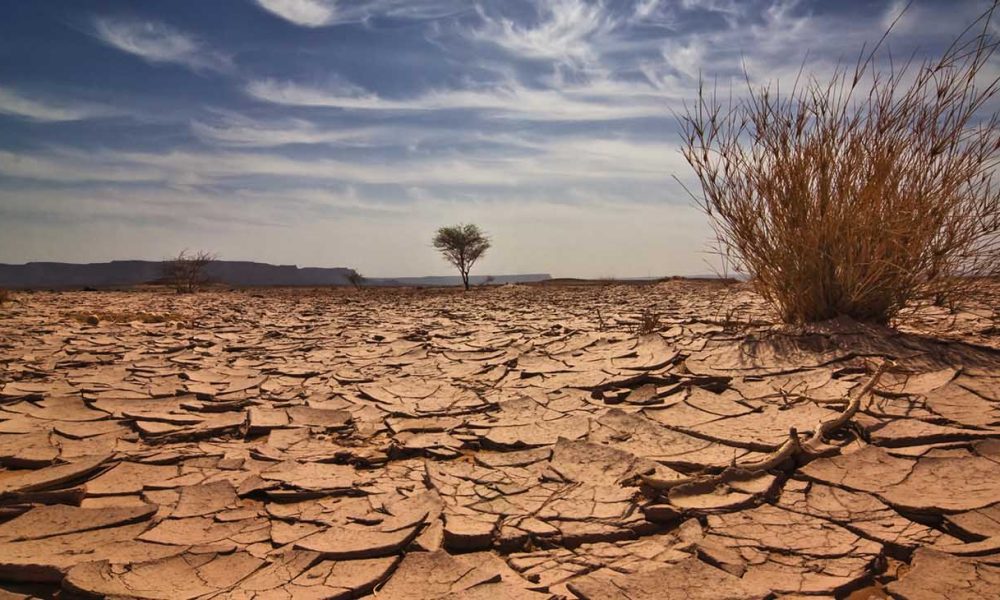 The troubling record notes that the primary drivers of hunger include conflict, climate, and economic challenges.