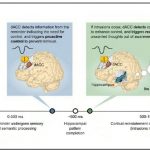 Brain Can Block Unwanted Memories And Sounds Alarm If One Slips Through ...