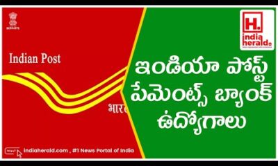 India Post Payments Bank job openings announced by IndiaHeraldTV