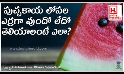 Watermelon sliced open showing red inside, how to check ripeness