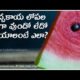 Watermelon sliced open showing red inside, how to check ripeness