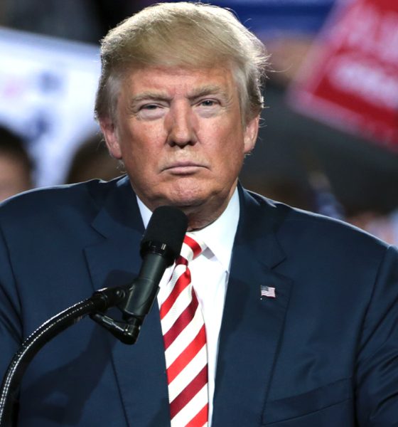 Former President Donald J. Trump / Photo: wikimediacommons.org