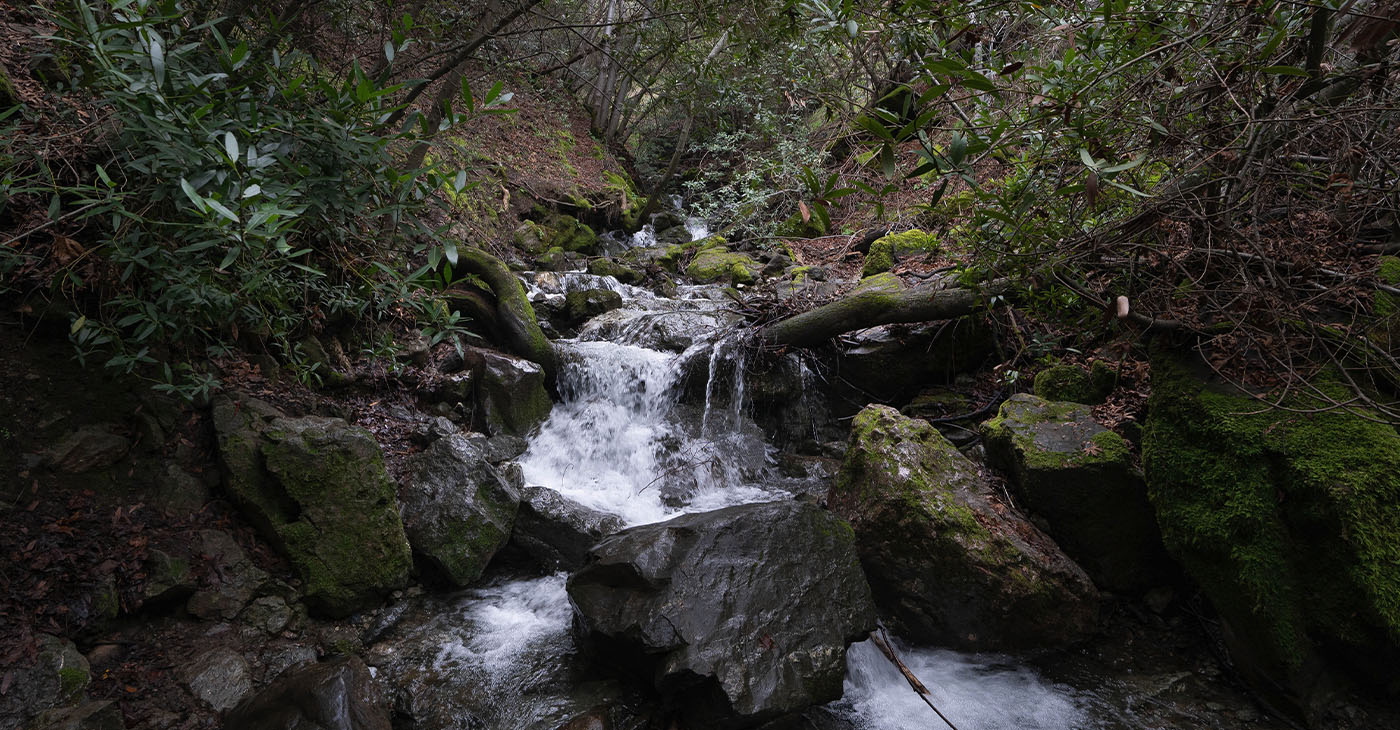 A waterfall on the Falls Trail Loop in the Mt. Diablo State Park in Clayton, Calif., on January 6, 2021. (Ray Saint Germain/Bay City News)