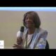 CMBC Session 3: Strengthening the Golden Triangle for communities of color