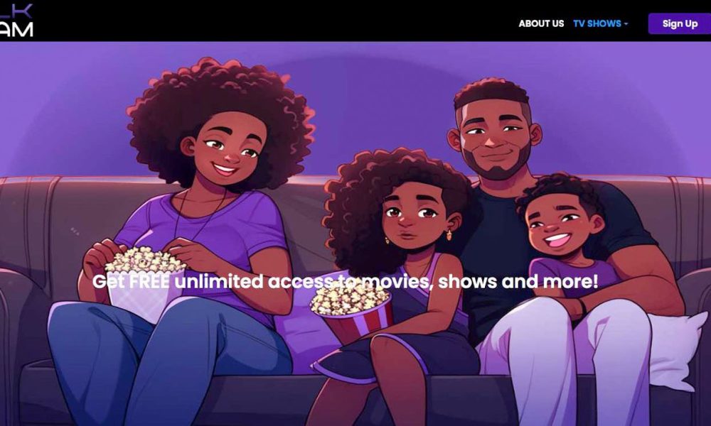 Homepage of BlkFamtv.com