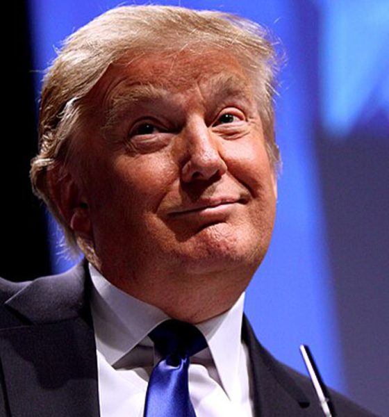 Donald Trump speaking at CPAC in Washington D.C. on February 10, 2011. (Photo: Gage Skidmore / Wikimedia Commons)