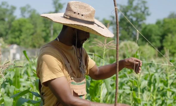 J’Quincy Jones Sr. prepared 25 pounds of collard and mustard greens for season four, episode one of Emeril Cooks, Legrasse’s Roku original show. Photo courtesy of Sweet Jones Farms.