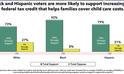 Graphic of Black Voters & Hispanic Voters