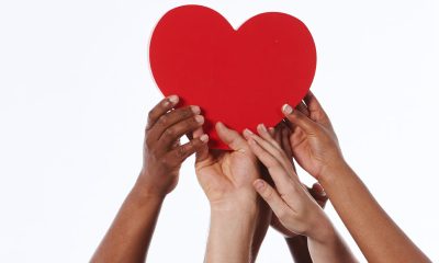 Mixed group of raised hands carefully carry red heart