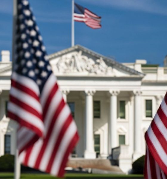 This compelling photograph captures the essence of American democracy with a captivating view of the White House in the background, framed by a row of American flags in the foreground. The flags, symbolizing the nation's unity and resilience, stand proudly in front of one of the most iconic landmarks in the United States. (Photo by Castle City Creative)