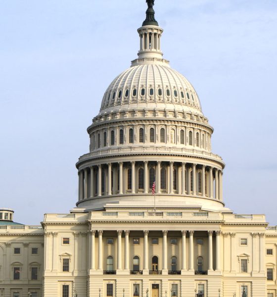 Washington D.C. Capitol Building (Photo by Jordan Younce)