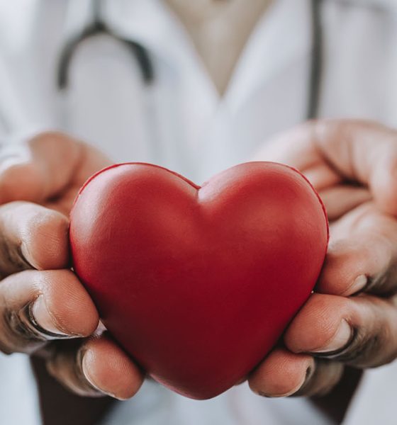 Portrait of a doctor holding a heart in his hands (Photo by Andres)