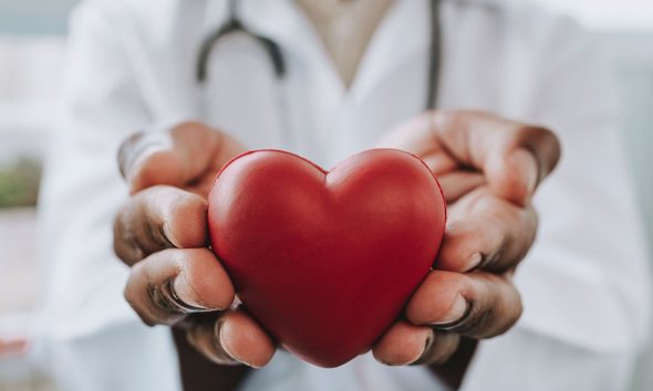Portrait of a doctor holding a heart in his hands (Photo by Andres)