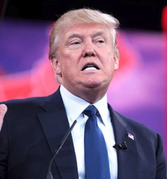 President Donald Trump