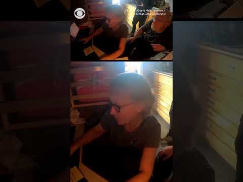 Wife of OceanGate CEO hears fatal Titan submersible implosion in newly released footage from The San Antonio Observer