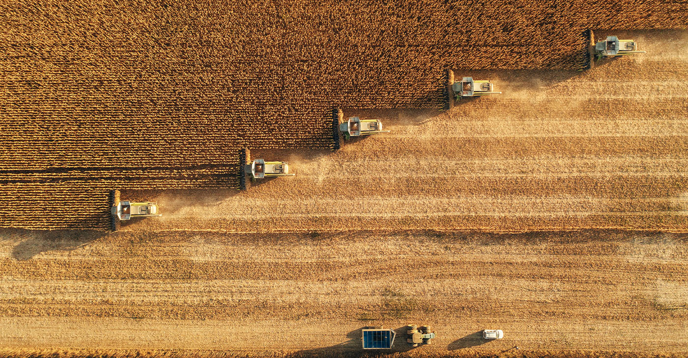 Dust rising from combine during crop harvesting, no-till technology professional occupation.