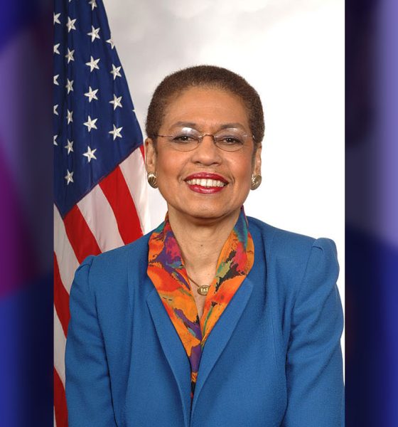 Delegate en: Eleanor Holmes Norton (Wikimedia Commons / Photo by Federal Office of Eleanor Holmes Norton)