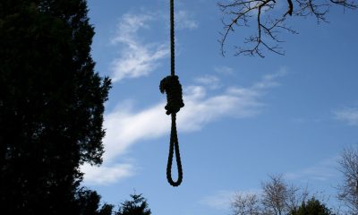 Sillouette of a noose hanging from treeSimilar images: