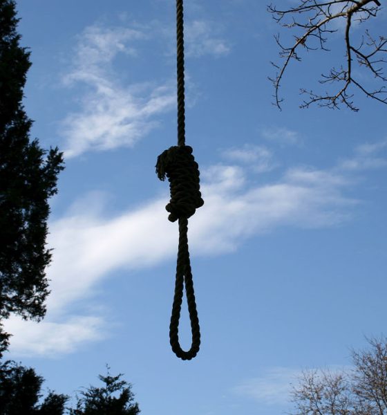 Sillouette of a noose hanging from treeSimilar images: