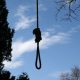 Sillouette of a noose hanging from treeSimilar images:
