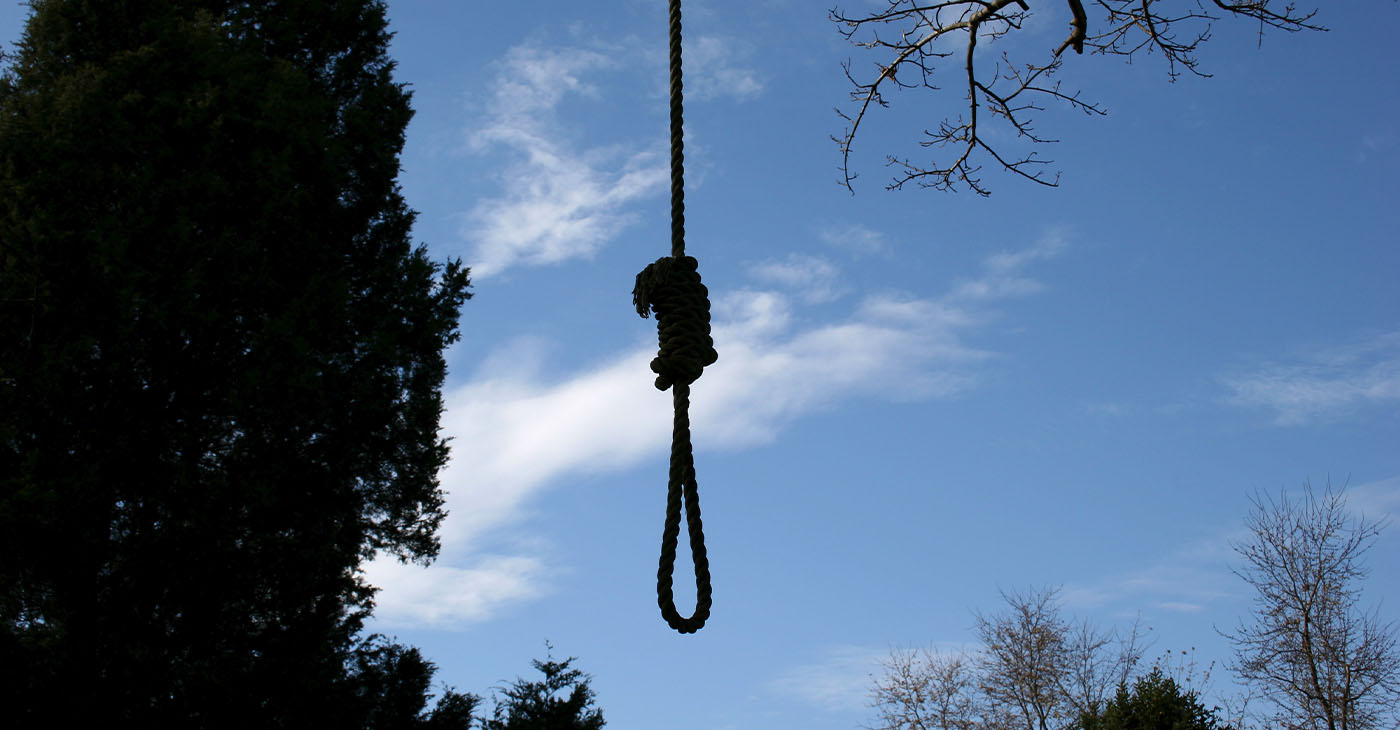 Sillouette of a noose hanging from treeSimilar images: