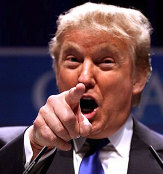 Donald Trump speaking at CPAC 2011 in Washington, D.C (Wikimedia Commons/ Photo by Gage Skidmore from Peoria, AZ, United States of America)