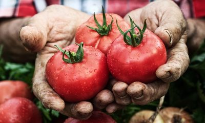 John-Michael Lawrence is a trained lawyer and project manager. This week, he shares his thoughts on healthy eating. Photo: iStockphoto / NNPA.
