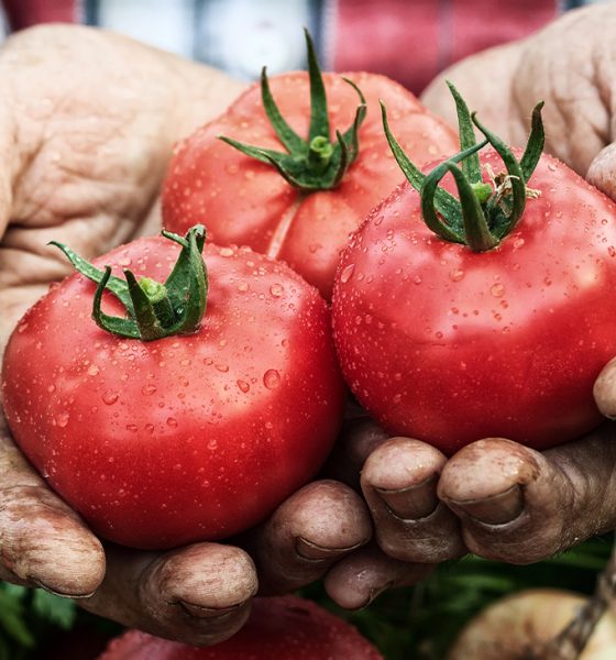John-Michael Lawrence is a trained lawyer and project manager. This week, he shares his thoughts on healthy eating. Photo: iStockphoto / NNPA.