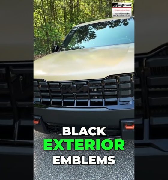 Front view of a vehicle grille with a bold text overlay reading 'BLACK EXTERIOR EMBLEMS' on the lower portion of the image, green and white lettering.