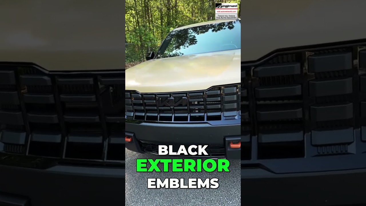Front view of a vehicle grille with a bold text overlay reading 'BLACK EXTERIOR EMBLEMS' on the lower portion of the image, green and white lettering.